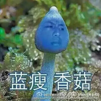 表情包 蓝瘦香菇
为什么要说这种话？？！