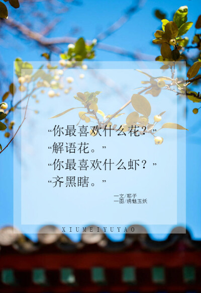 “你最喜欢什么花？”“解语花。”
“你最喜欢什么虾？”“齐黑瞎。”