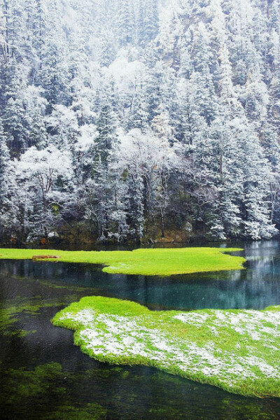 九寨归来不看水。