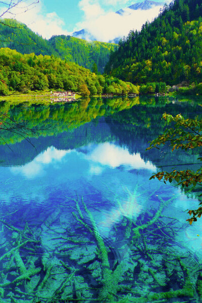 九寨归来不看水。