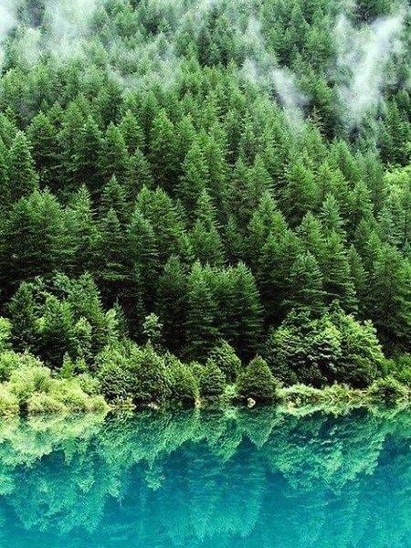 九寨归来不看水。