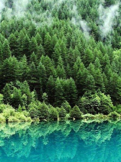 九寨归来不看水。