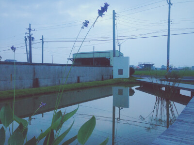  宜兰，绿色田野间住一晚