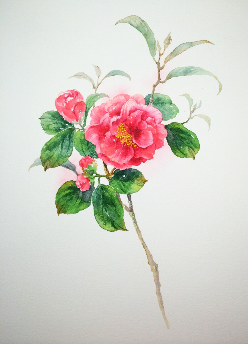 花卉插画绘画 壁纸封面 古风手绘 水彩 仕女2评论77更多所有评论你也