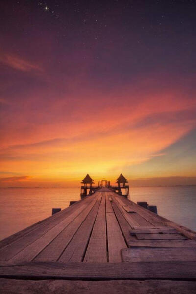 人有退路，就有些许安全感。 等到哪一天，你真没了退路， 你就发现眼前哪条路都能走， 也能通。_美美 - 美丽鸟