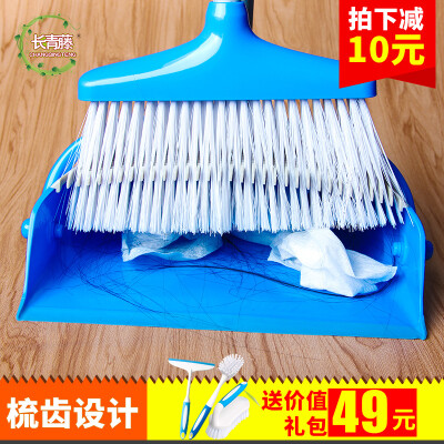 长青藤（家居）分离垃圾扫把簸箕套装 家用软毛畚箕扫帚 DP02型
