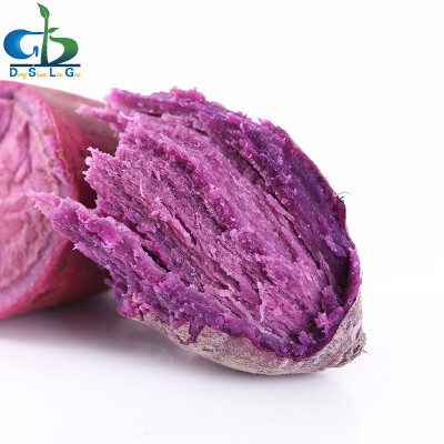 新鲜红薯生地瓜越南紫薯5斤装紫芋头农家自种生番薯山芋头小香薯