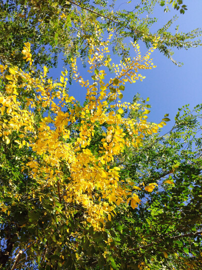 不忘初心，方得始终