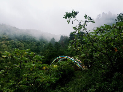 去的那天刚好下了点雨 颜色很鲜艳