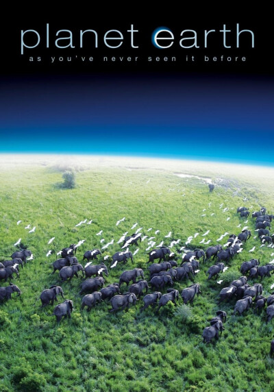 【片名】地球脉动 第一季 Planet Earth Season 1 (2006)，【制片国家/地区】英国，【集数】11，【单集片长】60分钟，【简介】BBC曾经制作出《蓝色星球》的纪录片摄影团队，再次集结奉上了这部堪称难以超越的经典纪录…