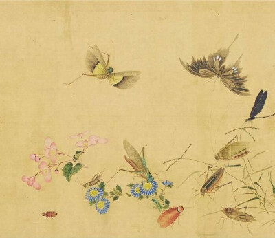 【 文 俶 · 花 鸟 】--- “ 文俶是明末女画家中的佼佼者，善写生，尤其是花卉虫草。”