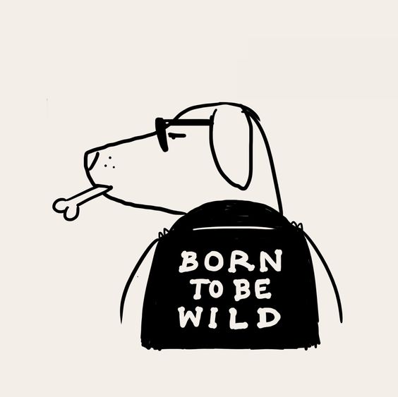 Born to be wild 生来狂野