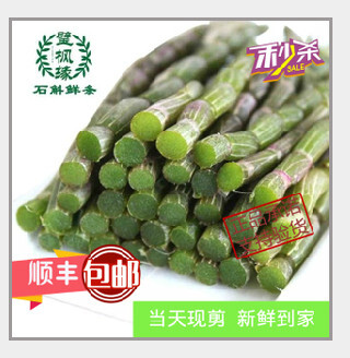 美颜鲜条新仿500g枫斗石斛乐清雁荡山花茶铁皮滋补野生三年