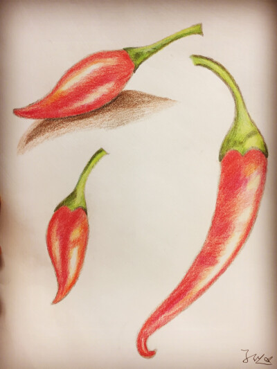 小辣椒-临摹