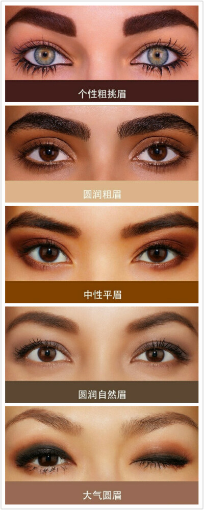不同眉型