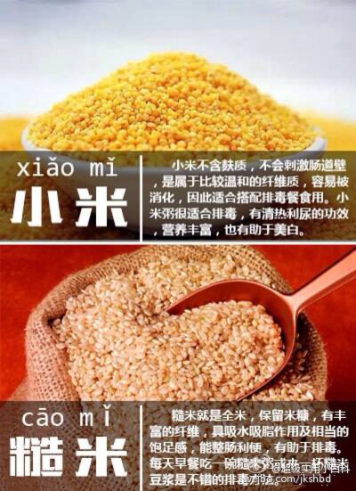 祛湿气的实食物