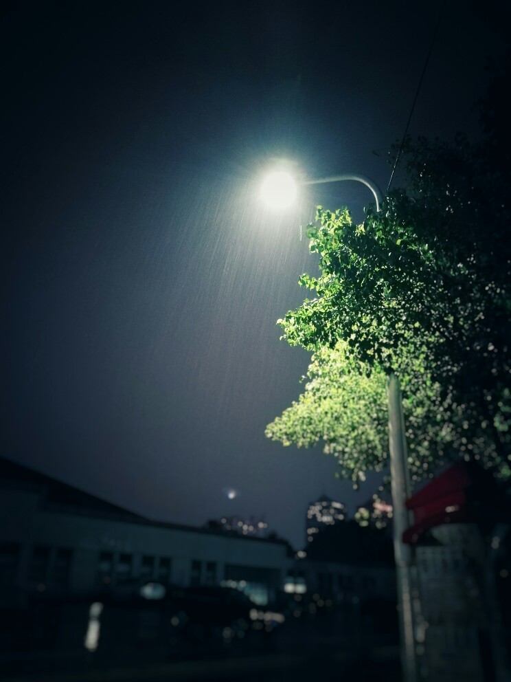 摄影 风景 夜雨