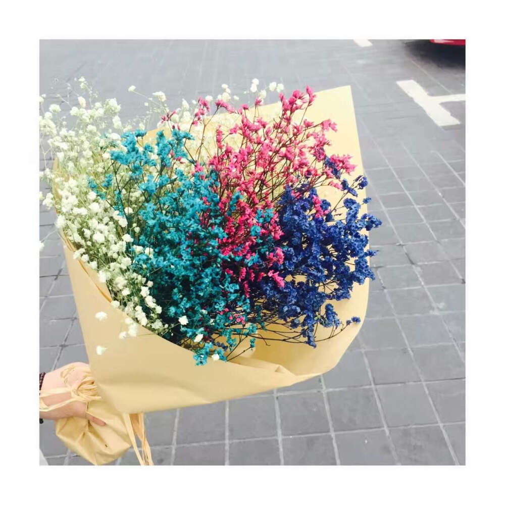 满天星哦⭐⭐⭐