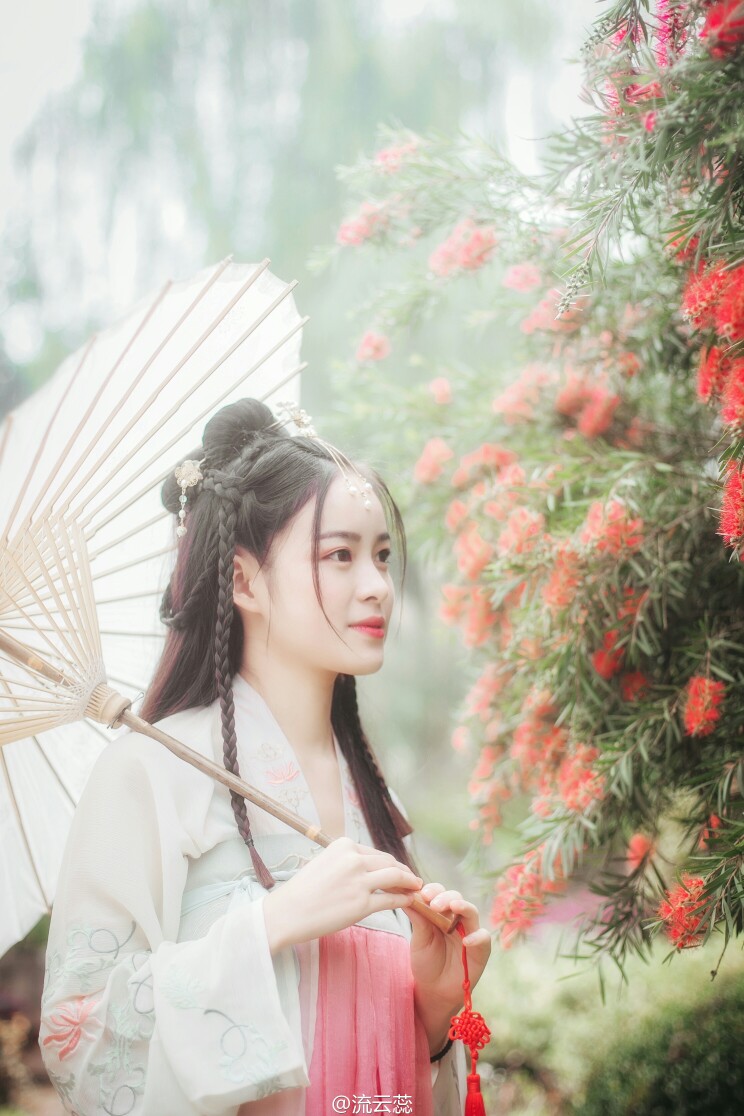 摄影@流云蕊
