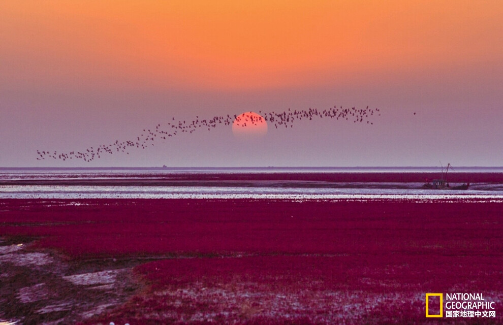 红海滩