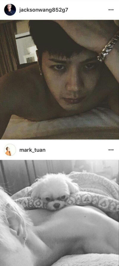 Markson宜嘉