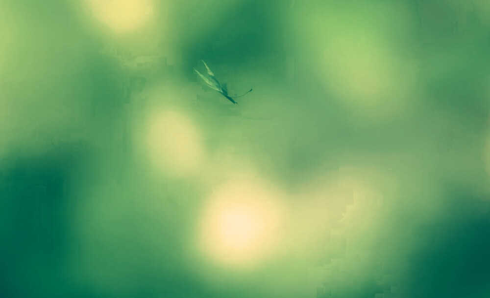 加了个滤镜 ed一话换一个，这次的好听呢。