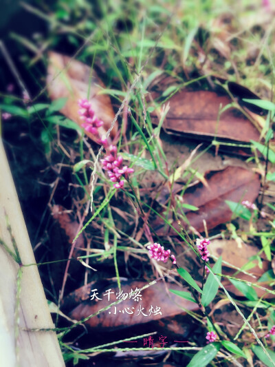 等到烟火清凉 天干物燥 小心火烛