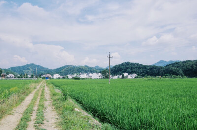 很冲动的辞了职退了房子告别了朋友离开上海开始了旅行。江西广西现在刚回四川过几天去云南。很多故事还在发生还没发生，我会一直遇见一直记录。