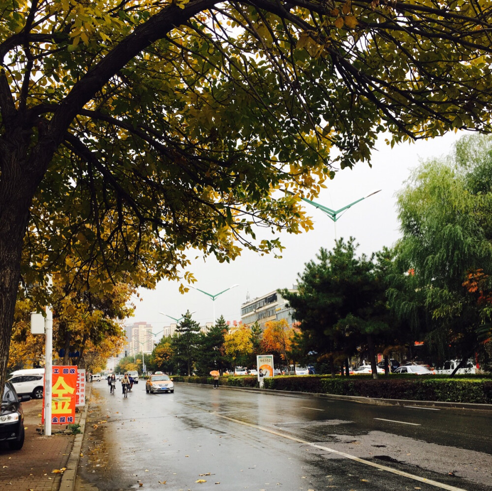 一场秋雨