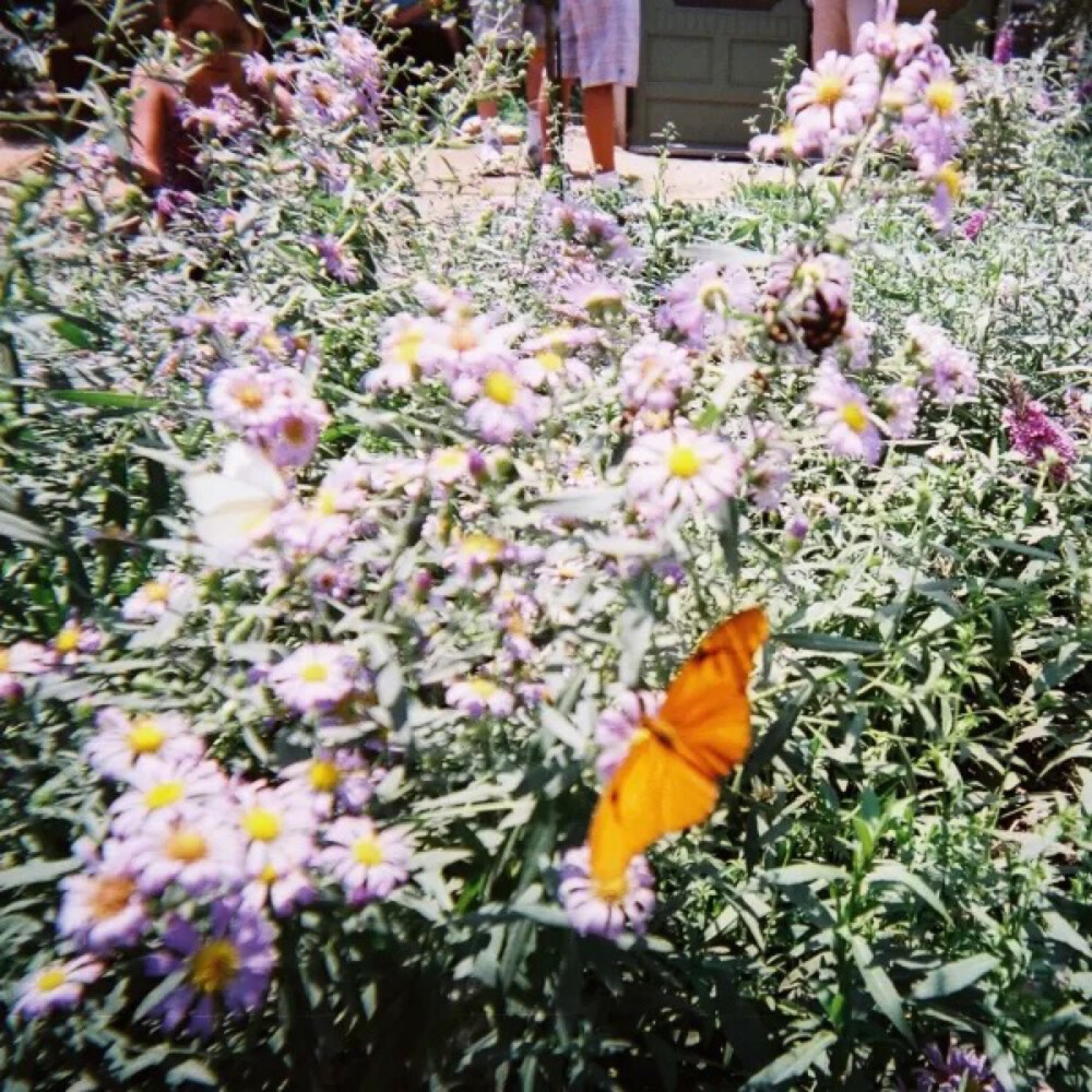 gnash-lil Tokyo (disposable)-20150301