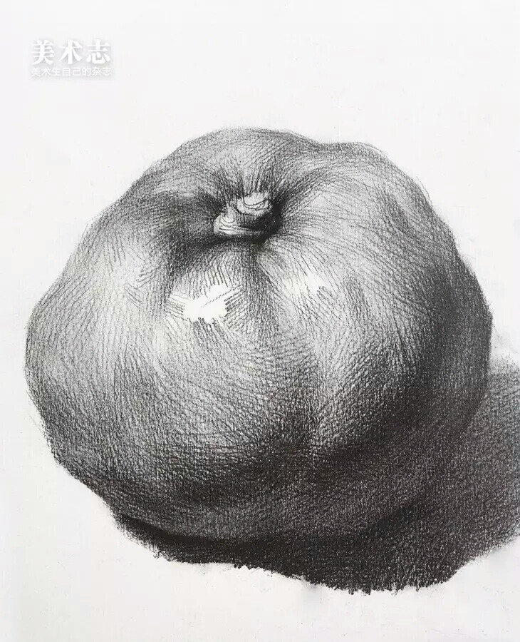 动漫漫画素材
静物素描临摹 蔬菜
美术志