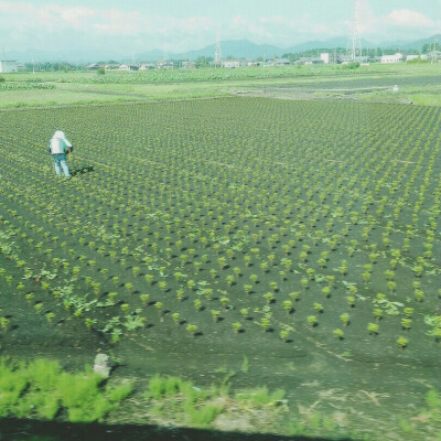 日本农民耕地