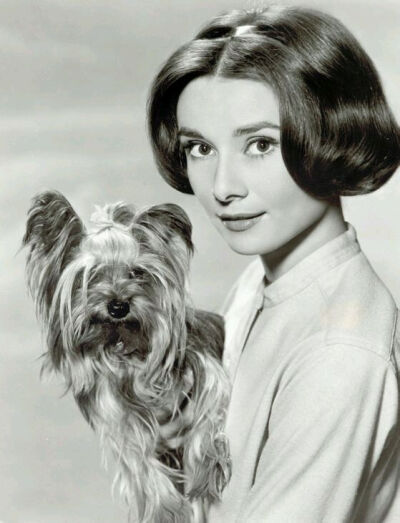 奥黛丽·赫本（Audrey Hepburn），1929年5月4日出生于比利时布鲁塞尔，英国电影和舞台剧女演员。代表作《罗马假日》《龙凤配》《蒂凡尼的早餐》《甜姐儿》《窈窕淑女》