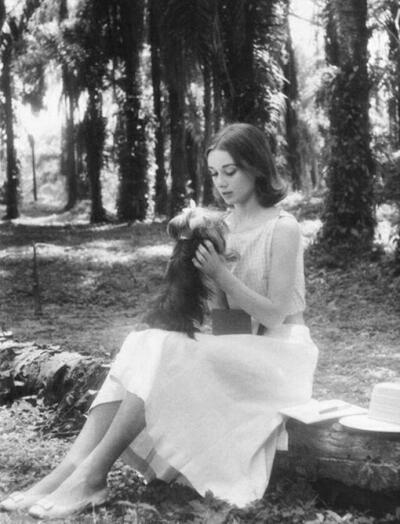 奥黛丽·赫本（Audrey Hepburn），1929年5月4日出生于比利时布鲁塞尔，英国电影和舞台剧女演员。代表作《罗马假日》《龙凤配》《蒂凡尼的早餐》《甜姐儿》《窈窕淑女》