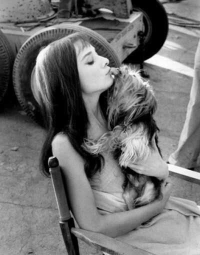 奥黛丽·赫本（Audrey Hepburn），1929年5月4日出生于比利时布鲁塞尔，英国电影和舞台剧女演员。代表作《罗马假日》《龙凤配》《蒂凡尼的早餐》《甜姐儿》《窈窕淑女》