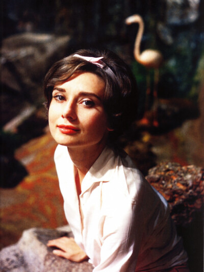 奥黛丽·赫本（Audrey Hepburn），1929年5月4日出生于比利时布鲁塞尔，英国电影和舞台剧女演员。代表作《罗马假日》《龙凤配》《蒂凡尼的早餐》《甜姐儿》《窈窕淑女》
