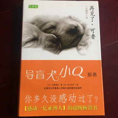 20161023…当天晚上，可鲁被安置在客厅的正中央，“四人”度过了最后一个夜晚。第二天，可鲁就和灵柩里铺陈的花瓣一起化成了灰烬。