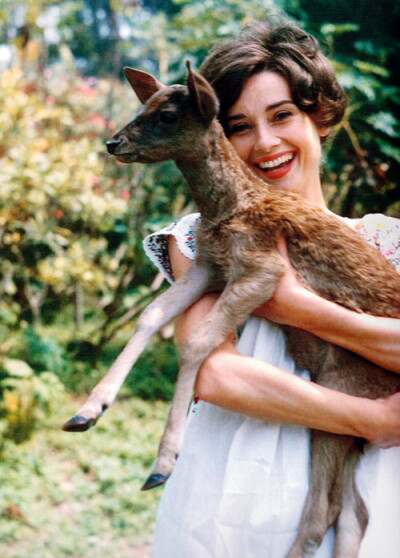 奥黛丽·赫本（Audrey Hepburn），1929年5月4日出生于比利时布鲁塞尔，英国电影和舞台剧女演员。代表作《罗马假日》《龙凤配》《蒂凡尼的早餐》《甜姐儿》《窈窕淑女》