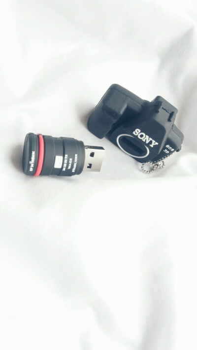 新get的小u盘 好可爱(=^･ｪ･^=)