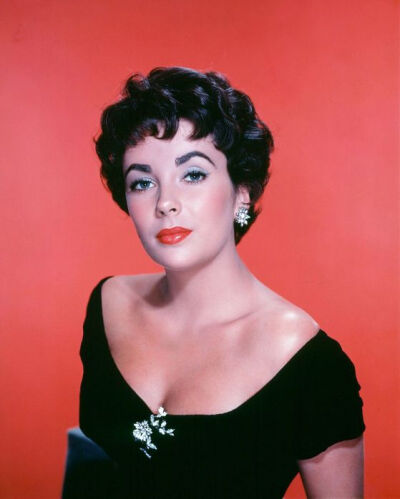 伊丽莎白·泰勒（Elizabeth Taylor，1932年2月27日—2011年3月23日），出生于英国伦敦，美国影视演员。代表作《埃及艳后》《战国佳人》《朱门巧妇》《夏日惊魂》《灵欲春宵》《青楼艳妓》