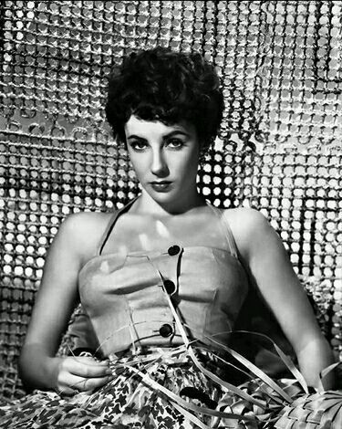 伊丽莎白·泰勒（Elizabeth Taylor，1932年2月27日—2011年3月23日），出生于英国伦敦，美国影视演员。代表作《埃及艳后》《战国佳人》《朱门巧妇》《夏日惊魂》《灵欲春宵》《青楼艳妓》