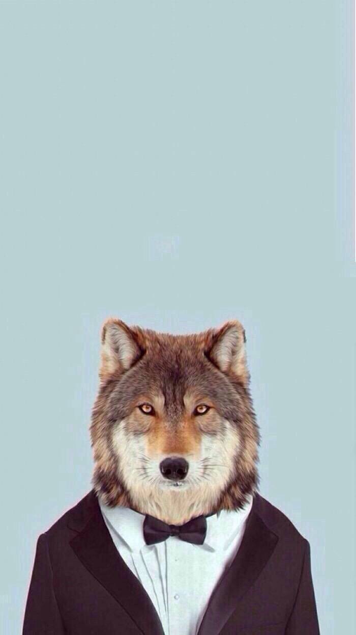 狼- 堆糖,美图壁纸兴趣社区