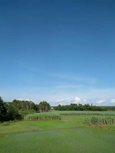 风景 蓝天 白云 田野 晴天 微风 护眼 绿色 壁纸 图片 童趣 摄影 旅行 稻谷 心情 大自然 辽阔
记录每一天:)