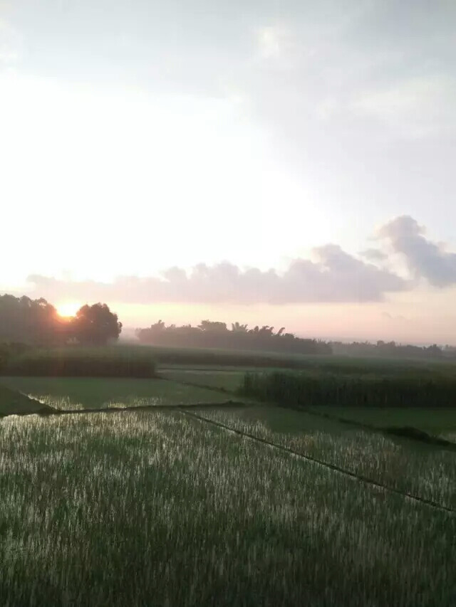 风景 蓝天 白云 田野 晴天 微风 护眼 绿色 壁纸 图片 童趣 摄影 旅行 稻谷 心情 大自然 辽阔 日出 阳光
记录每一天:)