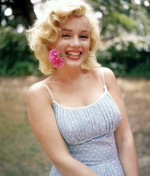 玛丽莲·梦露（Marilyn Monroe，1926-1962），1926年6月1日出生在加利福尼亚州洛杉矶市，美国女演员。代表作《热情似火》《七年之痒》《乱点鸳鸯谱》《游龙戏凤》《巴士站》