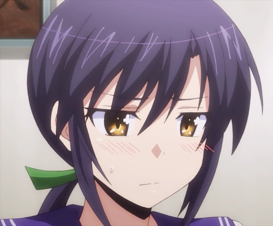 我的老婆是会长大人