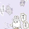 bunny 小兔子