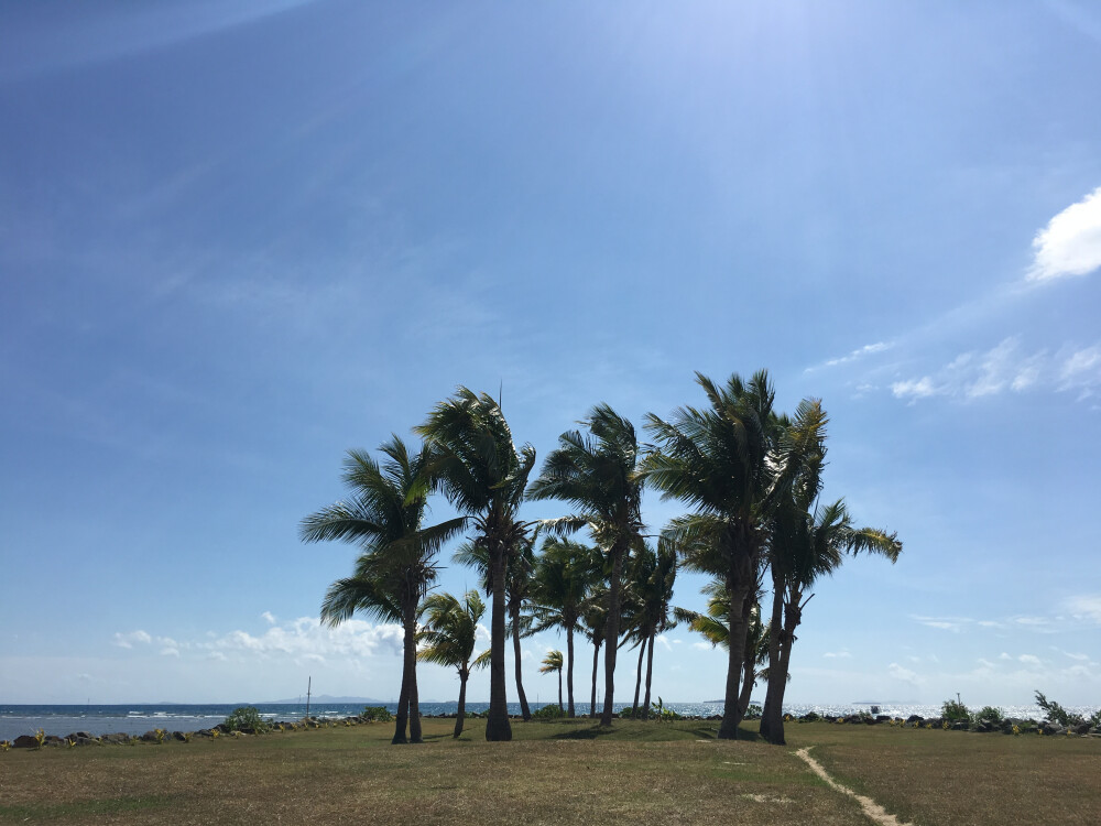 来自南太平洋岛国斐济的景色