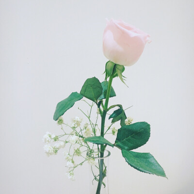 我手拿一支花 等你带我去流浪♠︎