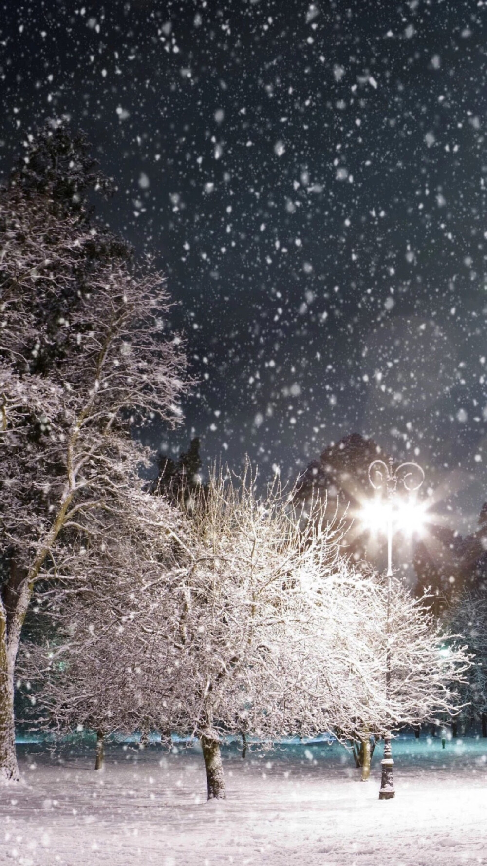 雪景